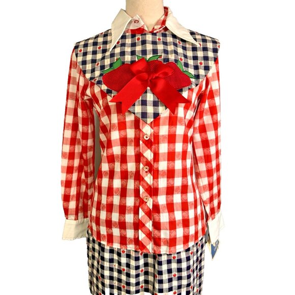 Vintage 70s Handmade Novelty Apples Gingham Set Deadstock JH Shirt Cottagecore - Picture 2 of 16